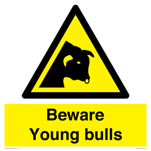 Beware Young bulls